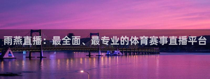 雨燕直播：最全面、最专业的体育赛事直播平台