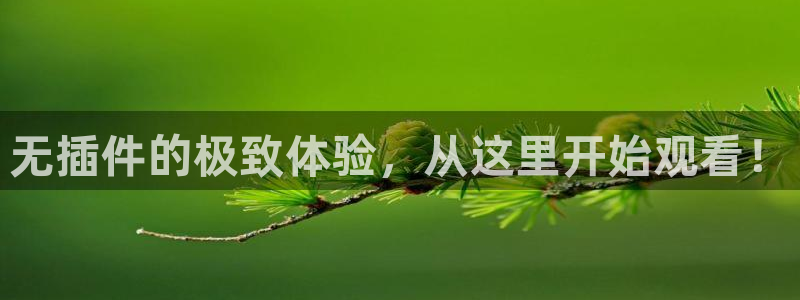 无插件的极致体验，从这里开始观看！