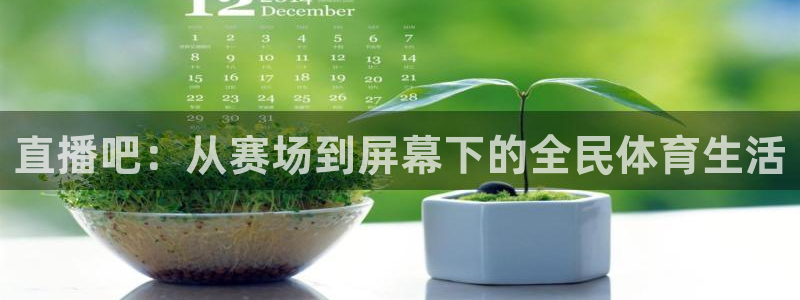 直播吧：从赛场到屏幕下的全民体育生活