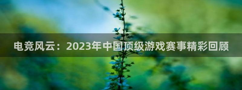 电竞风云：2023年中国顶级游戏赛事精彩回顾