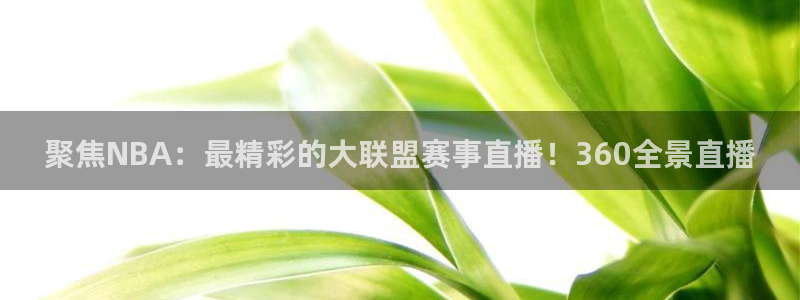 聚焦NBA：最精彩的大联盟赛事直播！360全景直播